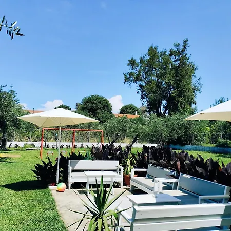 Olive Garden Studios&apartments Acharavi (Corfu)